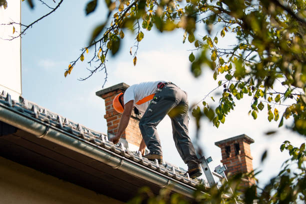 Best Roof Gutter Cleaning  in Lisbon Falls, ME
